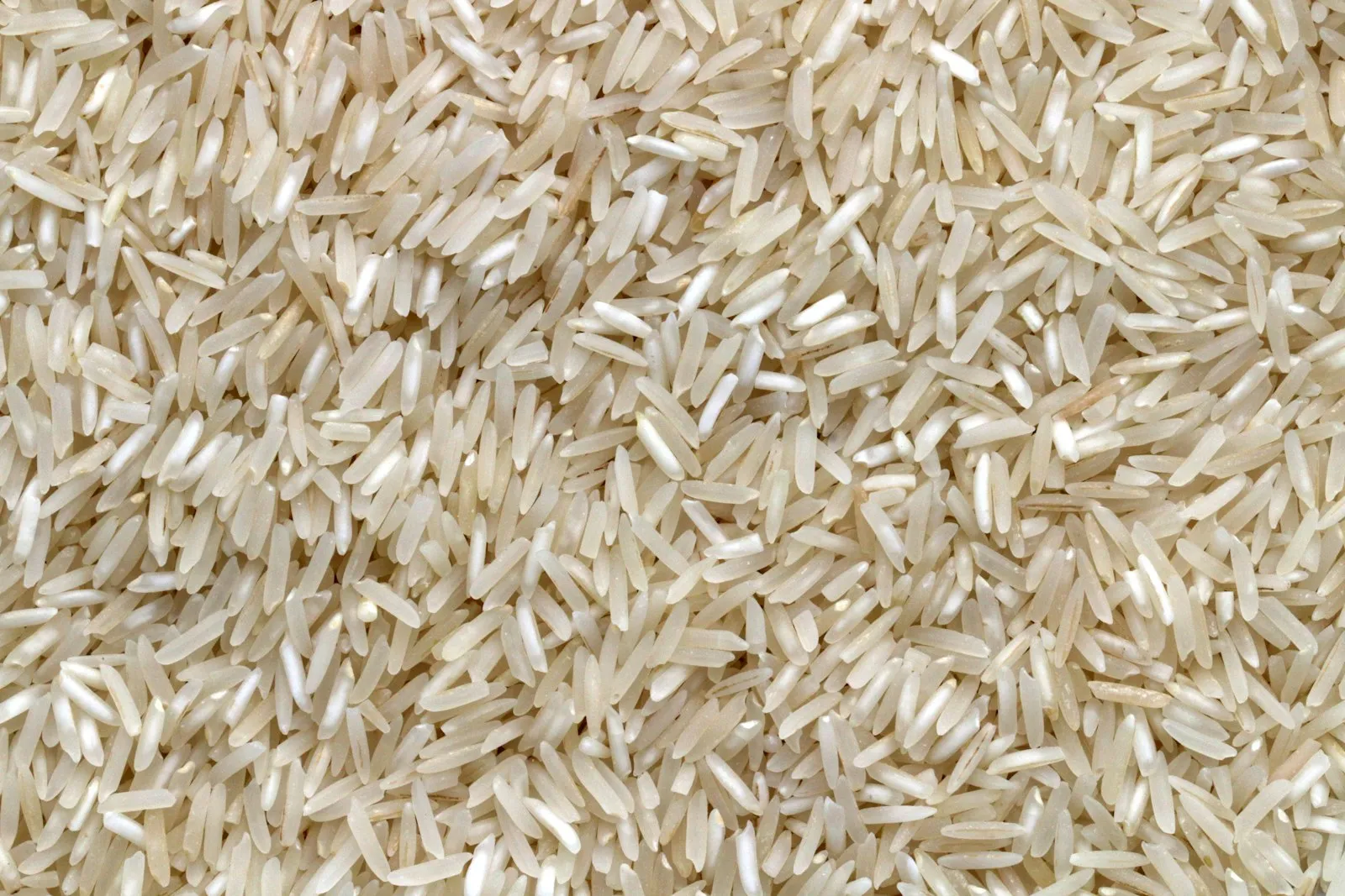 Close-up of raw long-grain white rice grains
